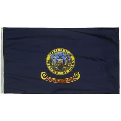 Annin Idaho State Flag, 3 ft. x 5 ft.