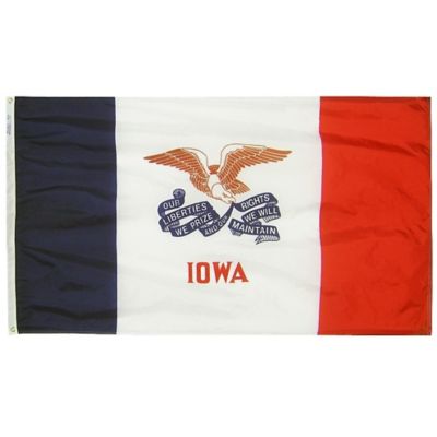 Annin Iowa State Flag, 4 ft. x 6 ft.