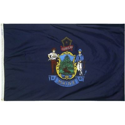 Annin Maine State Flag, 3 ft. x 5 ft.