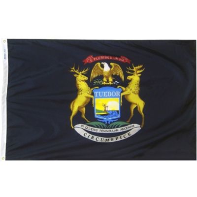 Annin Michigan State Flag, 3 ft. x 5 ft.