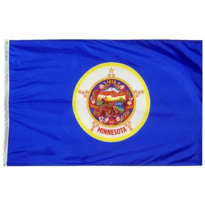 Annin Minnesota State Flag, 3 ft. x 5 ft.