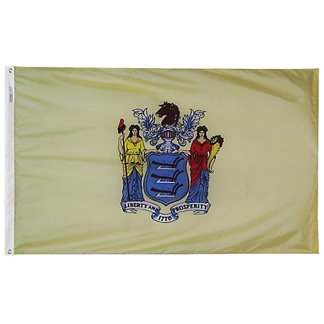 Annin New Jersey State Flag, 4 ft. x 6 ft.