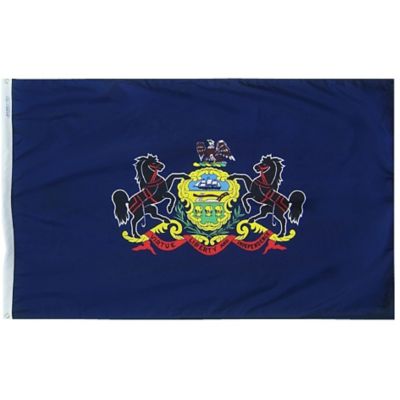 Annin Pennsylvania State Flag, 3 ft. x 5 ft.