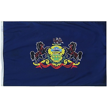 Annin Pennsylvania State Flag, 3 ft. x 5 ft.