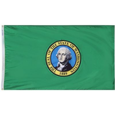 Annin Washington State Flag, 3 ft. x 5 ft.
