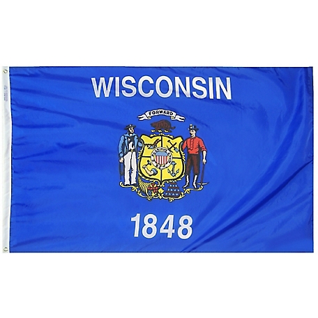 Annin Wisconsin State Flag, 3 ft. x 5 ft.