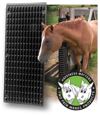 Tarter 10 ft. x 7 ft. Standard Horse Front Stall Panel with Sliding Door,  SF10