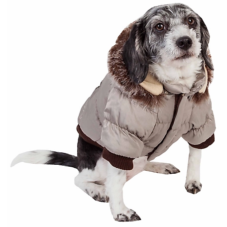 Pet Life Classic Metallic Fashion Insulated Dog Coat with Removable Hood