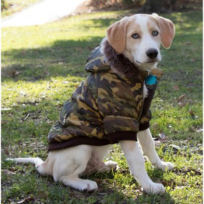 Image showing 5 th Pet Life Classic Metallic Fashion Insulated Dog Coat with Removable Hood