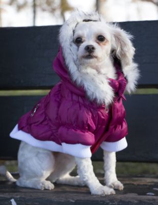 Image showing  Classic Metallic Fashion Insulated Dog Coat with Removable Hood