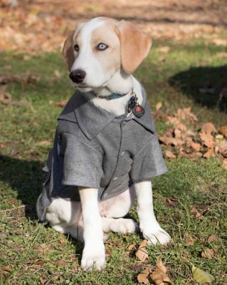 Image showing  Military Static Riveted Fashion Collared Wool Dog Coat