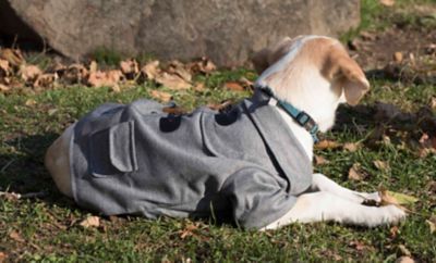 Image showing  Military Static Riveted Fashion Collared Wool Dog Coat