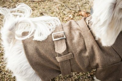 Image showing  Galore Back-Buckled Fashion Wool Dog Jacket