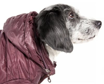 Image showing 8 th Pet Life Sporty Avalanche Lightweight Adjustable Dog Jacket with Hood
