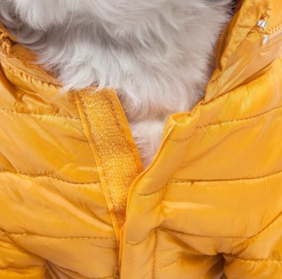 Image showing  Sporty Avalanche Lightweight Adjustable Dog Jacket with Hood