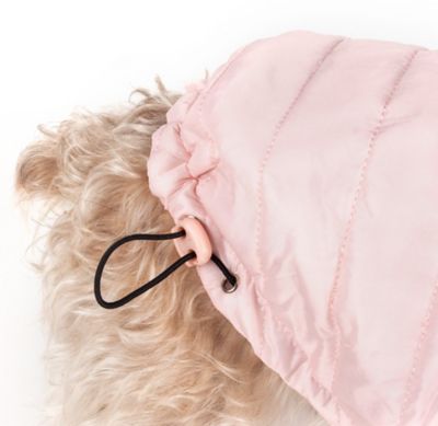 Image showing 9 th Pet Life Sporty Avalanche Lightweight Adjustable Dog Jacket with Hood