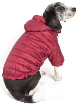 Image showing 3 th Pet Life Sporty Avalanche Lightweight Adjustable Dog Jacket with Hood