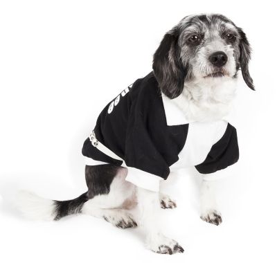 Pet Life Varsity-Barkcity Buckled Collared Dog Jacket