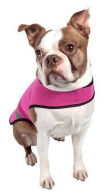 Image showing  Extreme Neoprene Multi-Purpose Protective Reflective Rash Guard Dog Coat