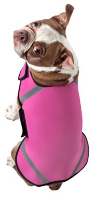 Image showing  Extreme Neoprene Multi-Purpose Protective Reflective Rash Guard Dog Coat