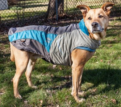 Image showing  Dog Helios Lotus-Rusher 2-in-1 Dual-Removable Layered Performance Dog Jacket