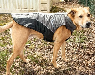 Image showing 4 th Helios Altitude-Mountaineer Wrap-Velcro Protective Waterproof Dog Coat with Blackshark Technology