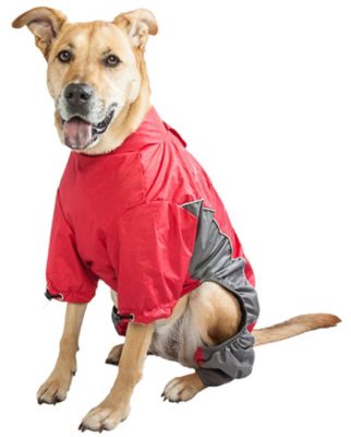 Image showing  Blizzard Full-Bodied Adjustable and 3M Reflective Dog Jacket