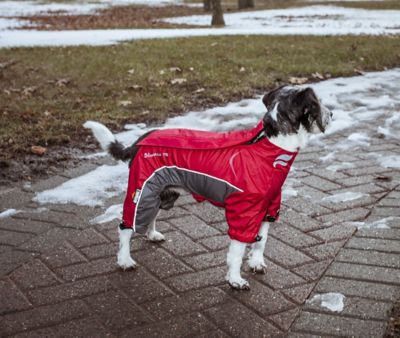 Image showing 6 th Helios Blizzard Full-Bodied Adjustable and 3M Reflective Dog Jacket