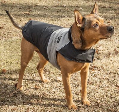 Image showing  Lightning-Shield Waterproof 2-in-1 Convertible Dog Jacket with Blackshark Technology