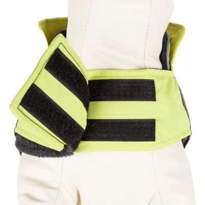 Image showing  Lightning-Shield Waterproof 2-in-1 Convertible Dog Jacket with Blackshark Technology