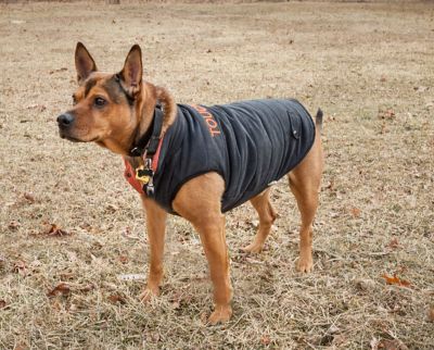 Image showing  Waggin Swag Ultra-Plush Insulated Reversible Dog Coat