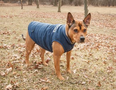Image showing  Waggin Swag Ultra-Plush Insulated Reversible Dog Coat