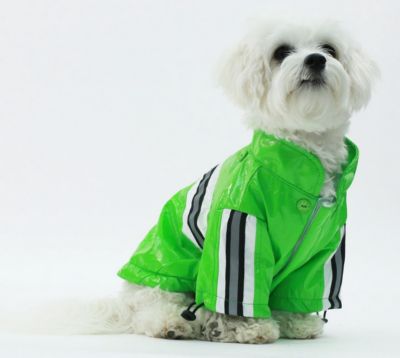 Image showing  Reflecta-Glow Reflective Waterproof Adjustable PVC Pet Raincoat