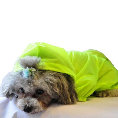 Image showing  Thunder-Paw Ultimate Waterproof Adjustable Travel Dog Raincoat with Hood