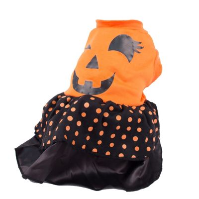 Image showing  LED Lighting Halloween Dress Pet Costume