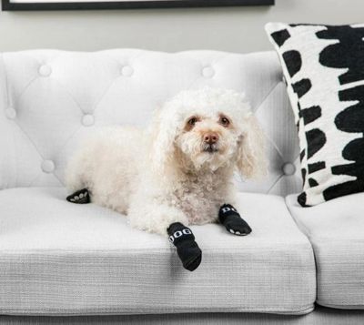 Image showing  Pet Socks with Rubberized Soles, 4 ct.