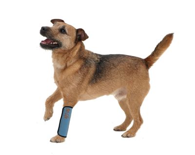 Image showing  Extreme-Neoprene Joint Protective Reflective Pet Sleeve, Large, Blue