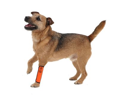 Image showing  Extreme-Neoprene Joint Protective Reflective Pet Sleeve, Medium, Orange