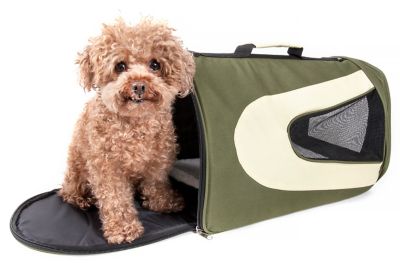 Pet Life Airline-Approved Folding Mesh Zippered Sporty Pet Carrier