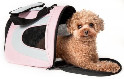 Pet Life Airline-Approved Folding Zippered Sporty Mesh Pet Carrier