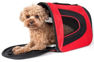 Pet Life Airline-Approved Folding Zippered Sporty Mesh Pet Carrier