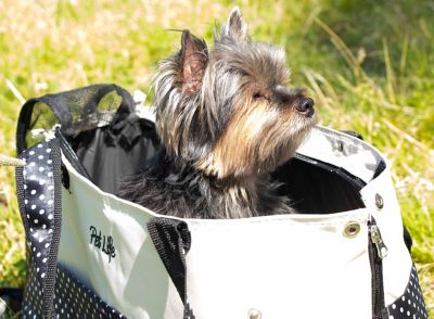 Image showing  Fashion Tote Spotted Pet Carrier