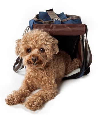 Image showing  Fashion Canvas Pet Carrier, 14.2 in.