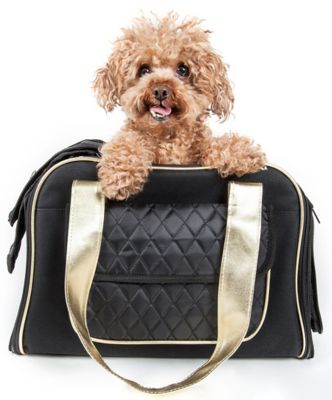 Pet Life Airline-Approved Mystique Fashion Pet Carrier