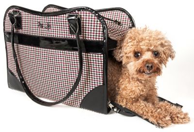 Image showing  Exquisite Fashion Pet Carrier