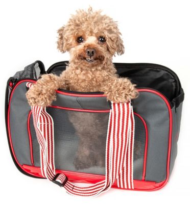 Peak best sale pooch carrier