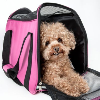Image showing  Airline-Approved Altitude Force Sporty Nylon Zippered Fashion Pet Carrier