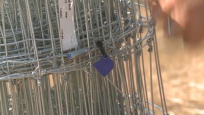 Image showing  Gripple Contractor Tensioning Tool