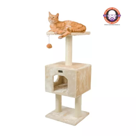 Armarkat real wood cat tree with condo and scratching post 42 height beige A4201 Cat Trees & Condos