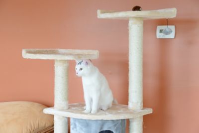 Image showing 4 th Armarkat 64 in. Real Wood Cat Tree With Sractch Sisal Post, Soft-side Playhouse, A6401, Almond